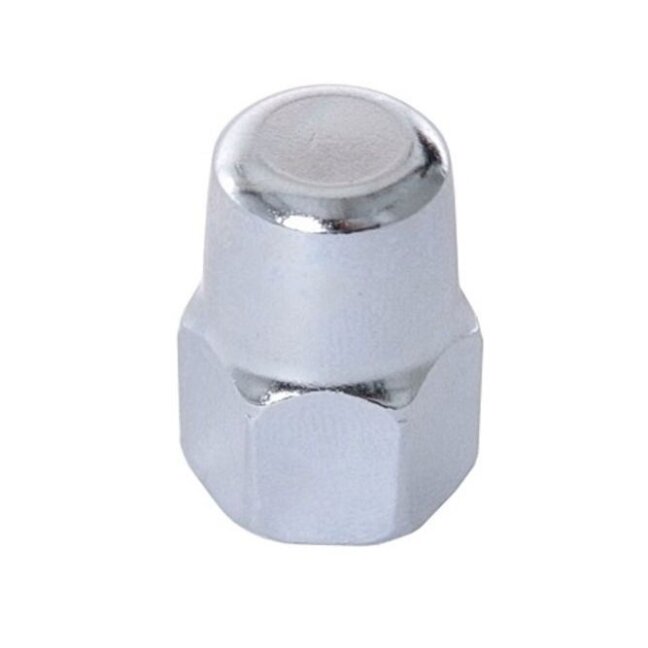 Cap Nut M9 Cap Nut M9