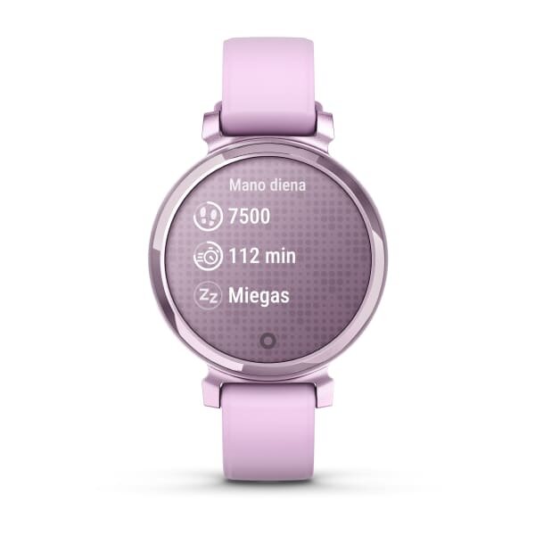Device Garmin Lily 2 7