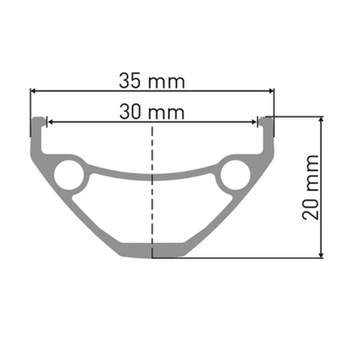 DT Swiss 29" E 593 Rim 1