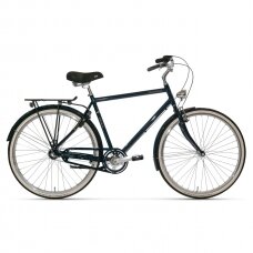Bicycle 28" Tunturi Akseli 3-V RH54 Matt black gold