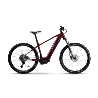 Elektrinis dviratis Haibike 29