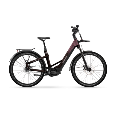 E-Bike Winora YAKUN R5 26 Low 600Wh