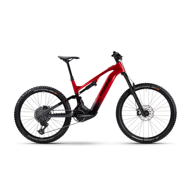 Elektrinis dviratis Haibike ALLMTN CF 9 29 High 800Wh