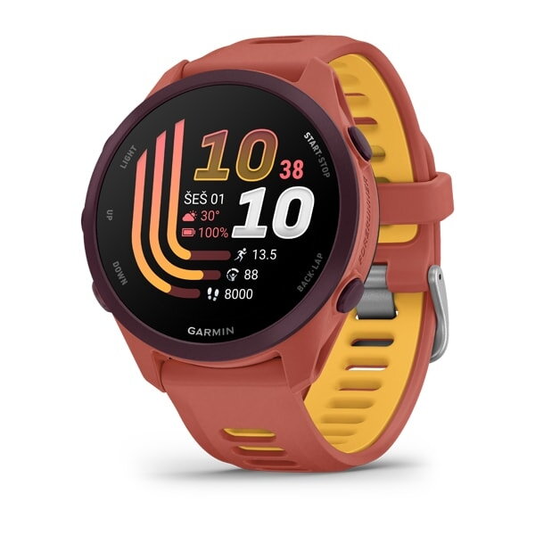 Forerunner® 170 Music 2 Forerunner® 170 Music 2