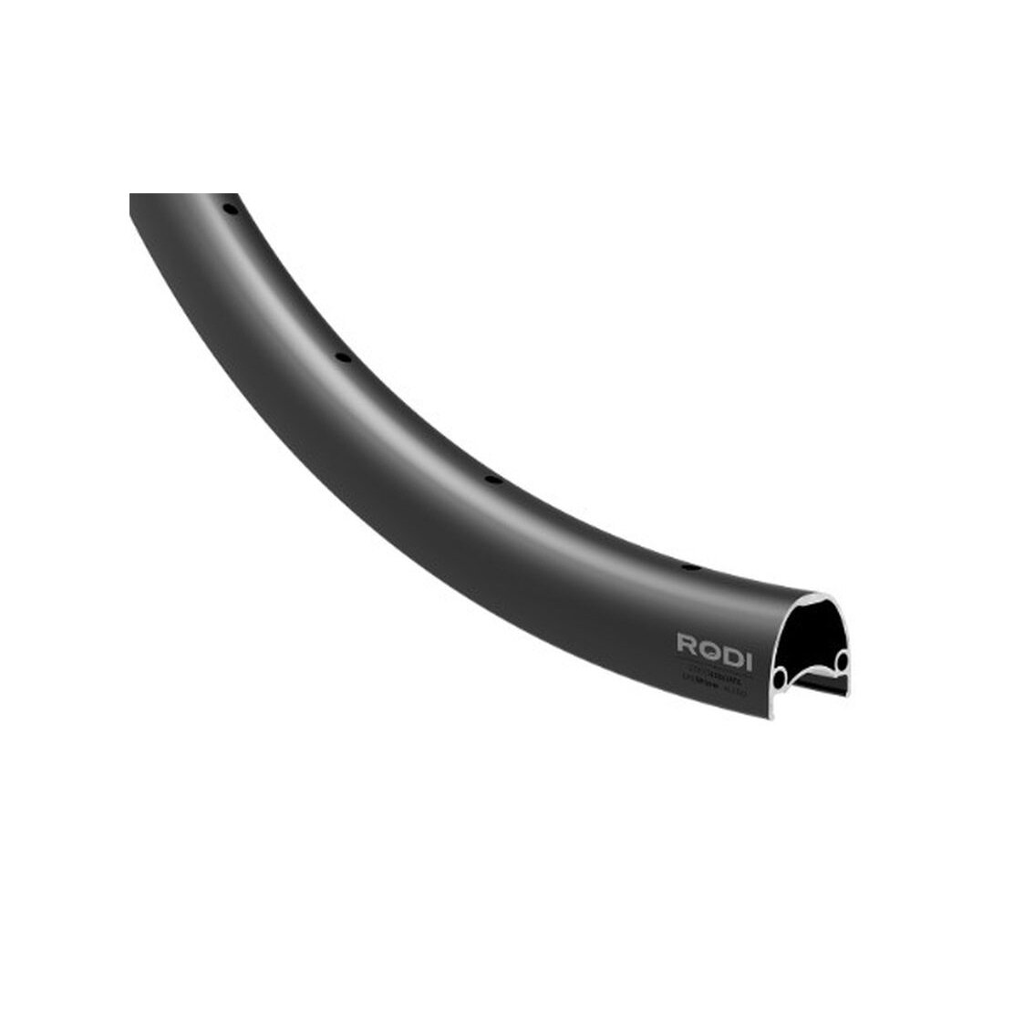 Rear Wheel 700C Rodi Sniper 12x142 Center Lock 1