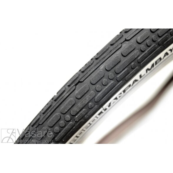 Tire 60-559 Palmbay Blk/Wh APL C1779 2