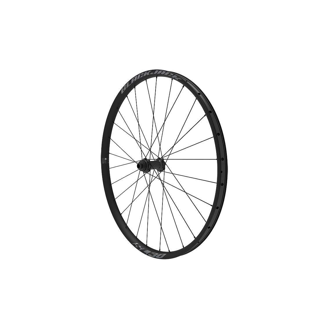 Priekinis ratas BlackJack SL 30 ASY 29" 15x110mm Center Lock Priekinis ratas BlackJack SL 30 ASY 29" 15x110mm Center Lock