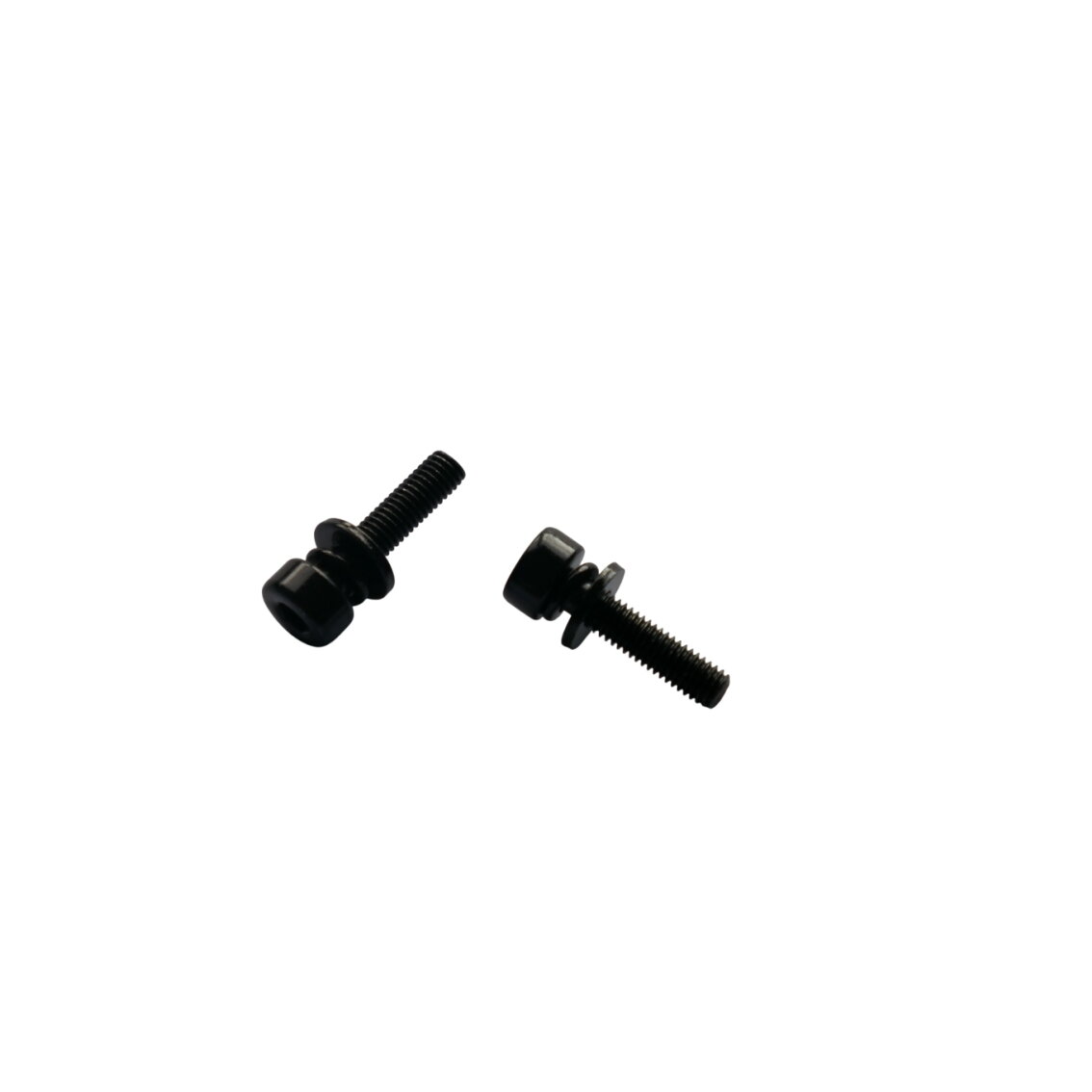 Promax Varžtai Flat Mount diskiniams stabdžiams 21 mm x M5