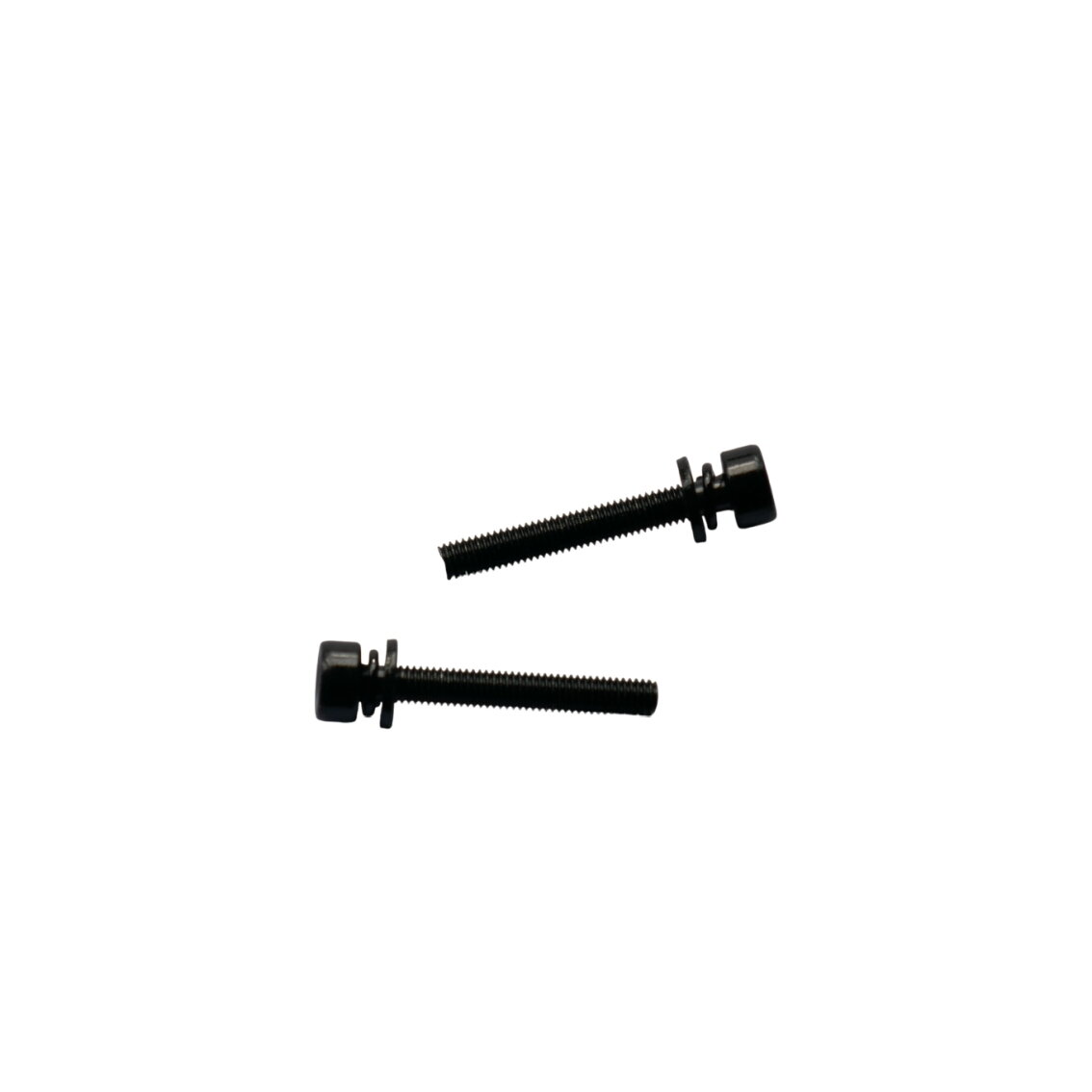 Promax Varžtai Flat Mount diskiniams stabdžiams 36 mm x M5