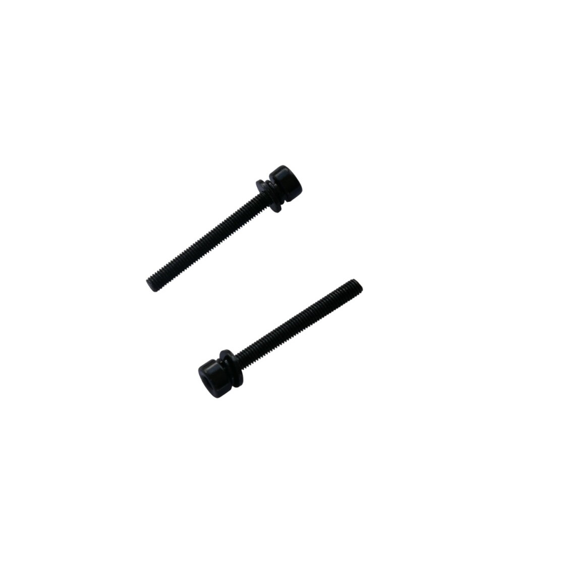 Promax Varžtai Flat Mount diskiniams stabdžiams 46 mm x M5 Promax Varžtai Flat Mount diskiniams stabdžiams 46 mm x M5