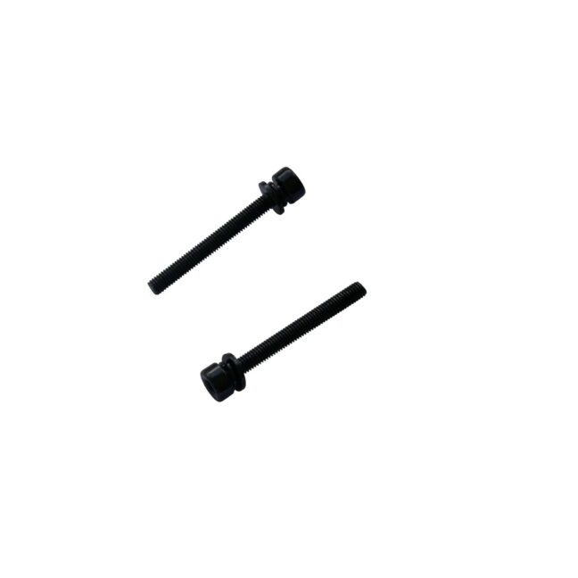 Promax Varžtai Flat Mount diskiniams stabdžiams 46 mm x M5 Promax Varžtai Flat Mount diskiniams stabdžiams 46 mm x M5