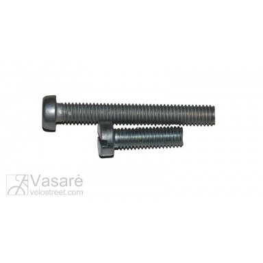 Varžtas 6x20 Varžtas 6x20