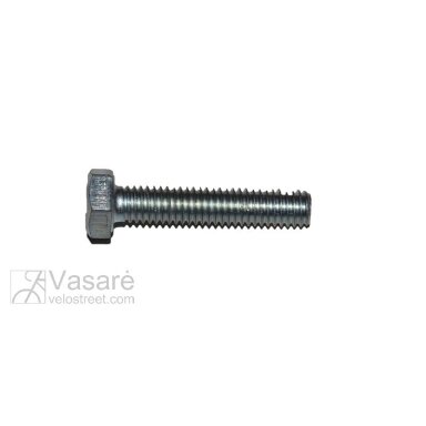 Varžtas 6x30 Varžtas 6x30