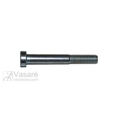 Varžtas 8x60 Varžtas 8x60