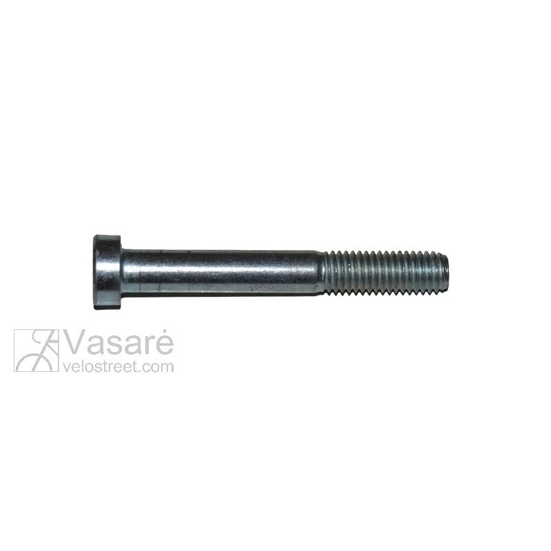 Varžtas 8x60 Varžtas 8x60
