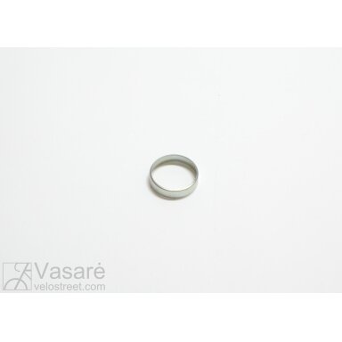 Rear hub protection ring